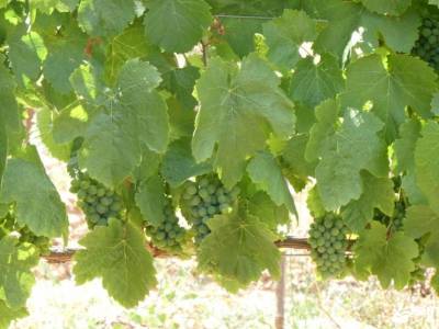 El Bierzo - Castilla y León; libros senderismo sendero del agua lugares de montaña senderos interpre